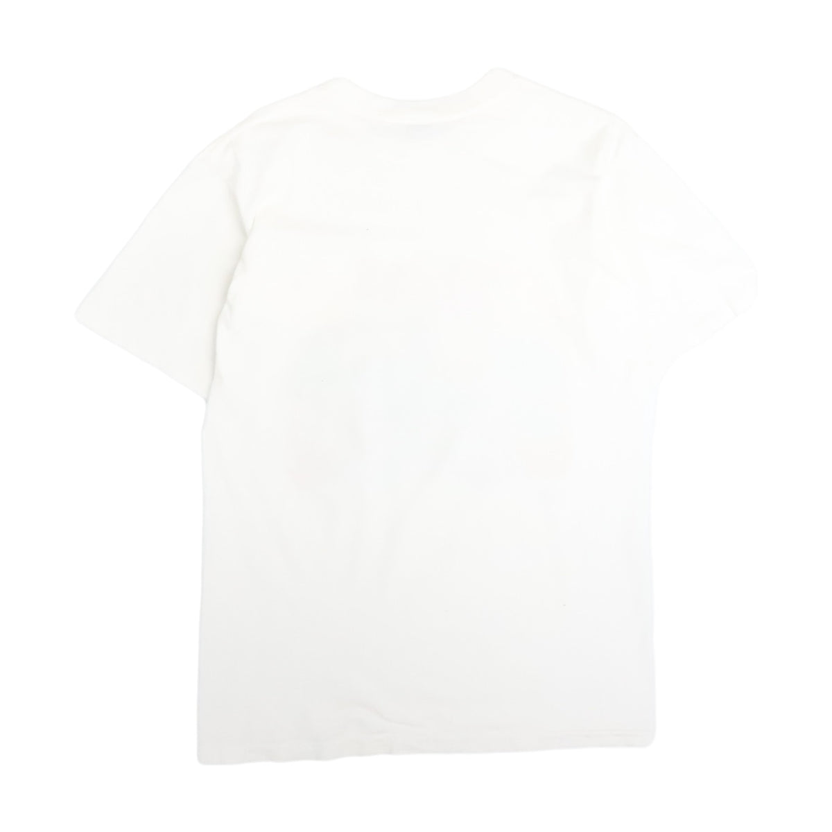 Vintage 90s Minnesota Twins Spring Training T-Shirt - photo 2