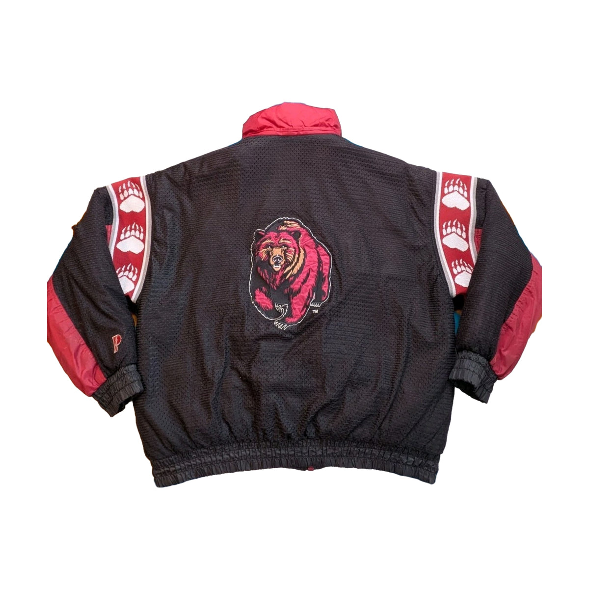 Vintage Grizzlies Michael Jordan Pro Player Jacket multi-color - photo 2