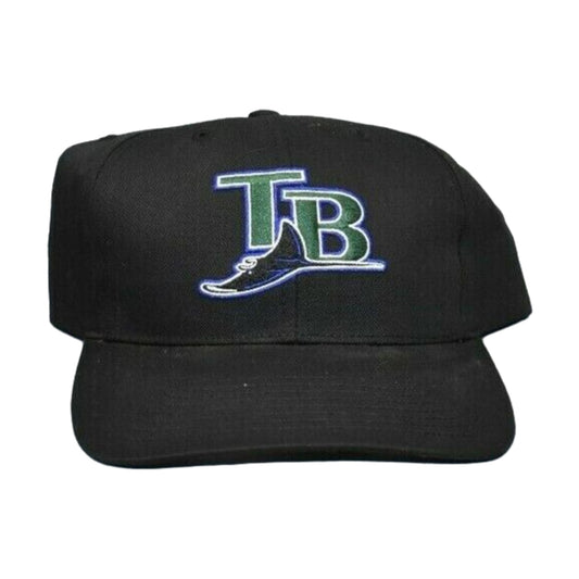 Vintage Minnesota Twins Twins Enterprise Snapback Hat black - photo 1