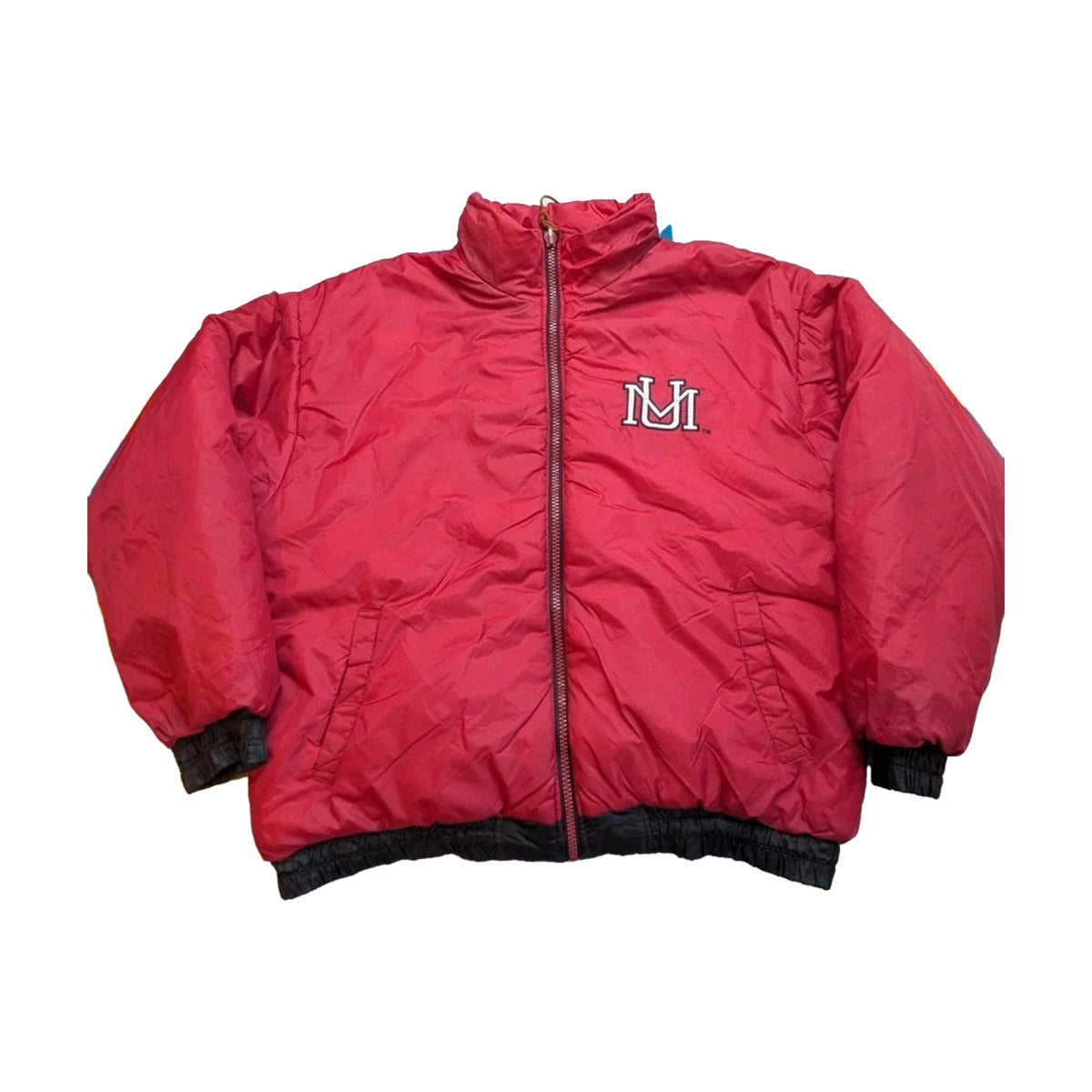 Vintage Grizzlies Michael Jordan Pro Player Jacket multi-color - photo 1
